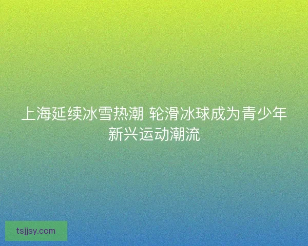 上海延续冰雪热潮 轮滑冰球成为青少年新兴运动潮流
