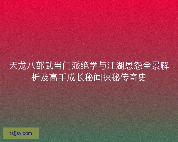 天龙八部武当门派绝学与江湖恩怨全景解析及高手成长秘闻探秘传奇史